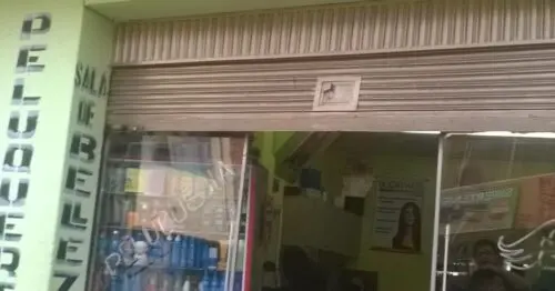 PELUQUERIA D´ANGELO NORTE BOGOTÁ PELUQUERIA D´ANGELO NORTE BOGOTÁ